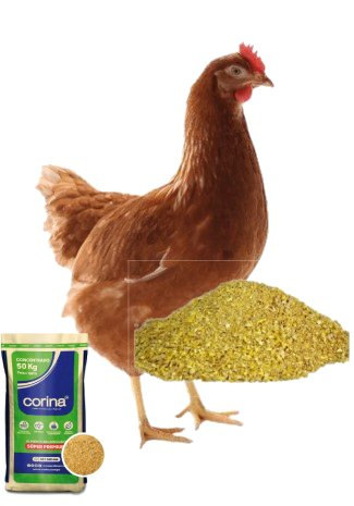 CoriGallina crecimiento (Concentrado) Granel