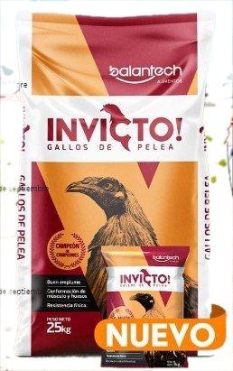 GALLOS DE PELEA  INVICTO ENTRENAMIENTO 1KG  -  BALANTECH