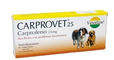 CARPROVET 25 MG x 40 tab- Veterline