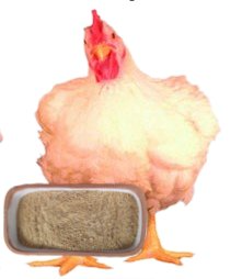 CoriPollo Engorde (concentrado)_Granel