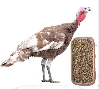 CORIPAVO CRECIMIENTO PELLET Granel
