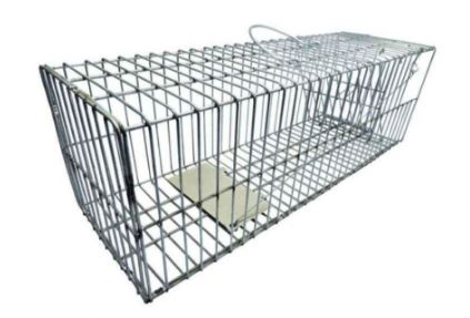 Jaula trampa Para Ratas Y Ratones, Calidad Y Eficaz Total