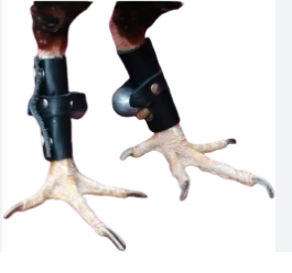 Guantes con pesas para gallo
