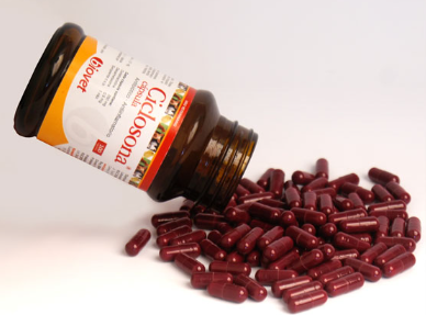 CICLOSONA CAPSULA