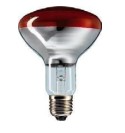 CALENTADOR PARA GRANJA 250 W