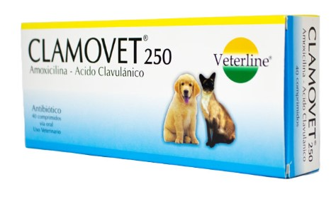 Clamovet 250mg x 40 TAB- Veterline