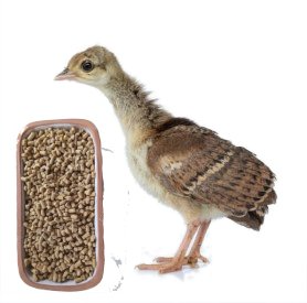 CORIPAVO INICIO MICROPELLET granel