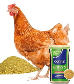 CoriGallina Desarrollo (Concentrado)_Granel