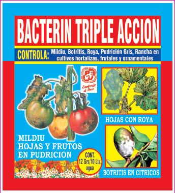BACTERIN TRIPLE ACCION 12GR