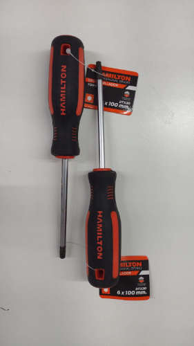 Destornillador Torx 6 x 100 mm