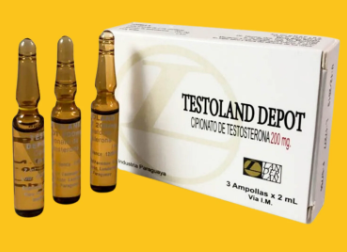 CIPIONATO DE TESTO LANDER