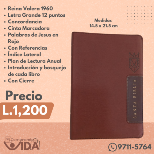 Biblia Holman Letra Grande Cafe Corona Leon