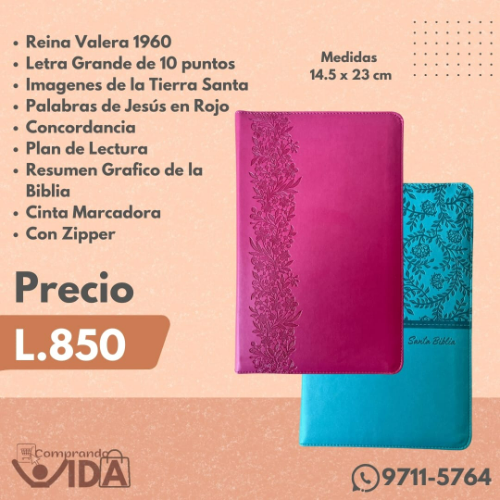 Biblia De La Tierra Santa Fuccia
