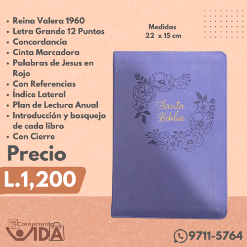 Biblia Holman Letra Grande Morada