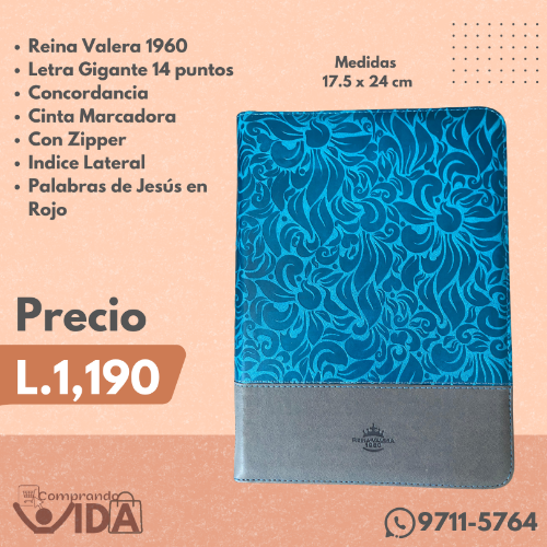 GIGANTE AZUL GRIS