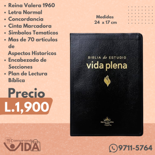 Biblia Estudio Vida Plena Negra Índice