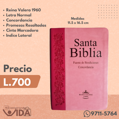 RVR046cLMFBTI PROMESA FUCCIA ROSA