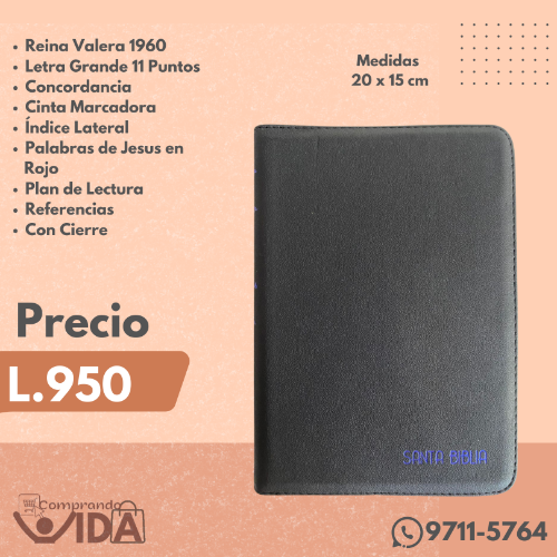RVRO56CZTILGPJR NEGRO CANTO PLATEADO