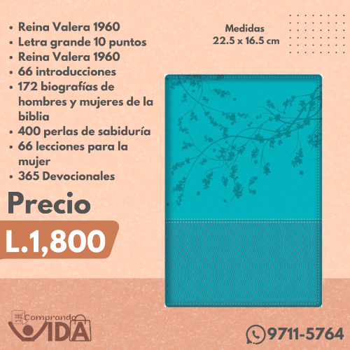 Biblia de la  Mujer Conforme al Corazon de Dios