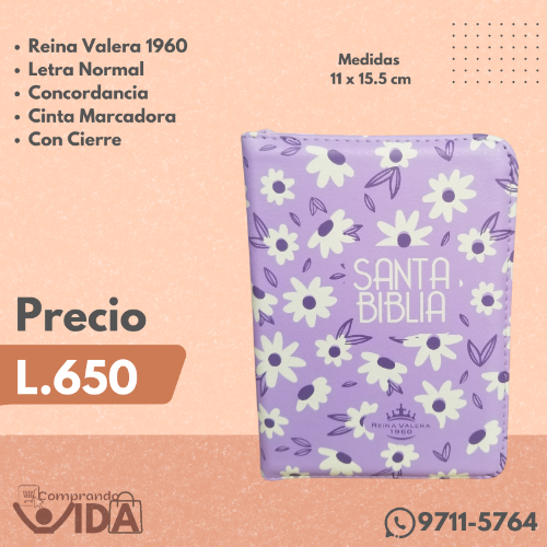 RVR025CZLM LILA-LAVANDA
