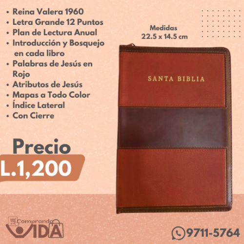 BIBLIA HOLMAN LETRA GRANDE MANUAL CAFE