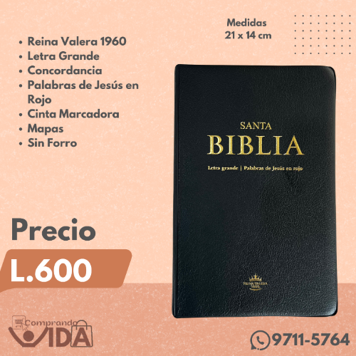 RVR06C2CLGIPJR NEGRA CANTO ROJO