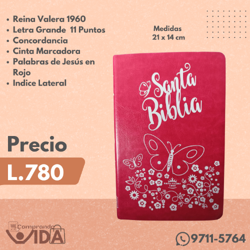 RVR066CLGPJRTI fucsia