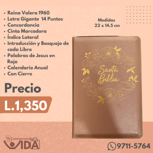 Biblia Holman Letra Gigante Rosa