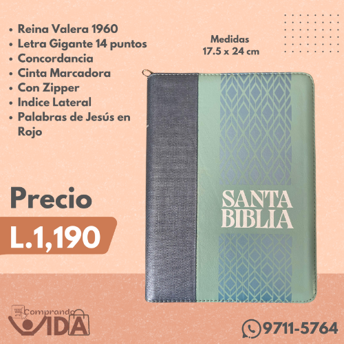 RVR086cZLTIGiPJR AZUL MENTA CANTO BLANCO