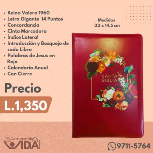 Biblia Holman Gigante Granada