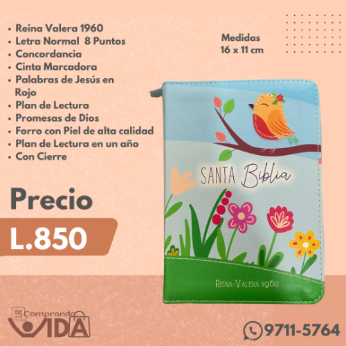 RVR60025CZ AZUL VERDE PAJARO