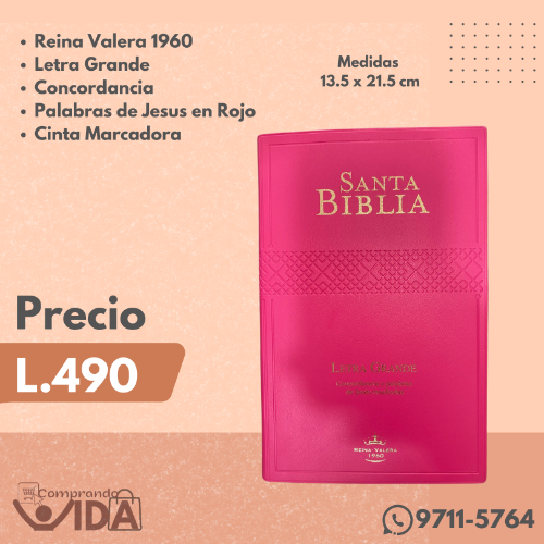 RVR062CPJR- FUCCIA