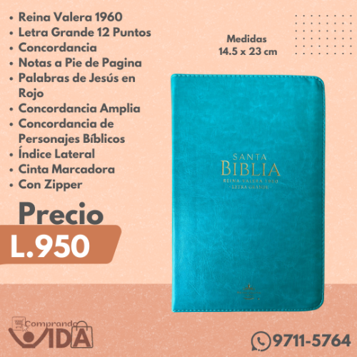 RVR60065CZLGPJR TURQUESA