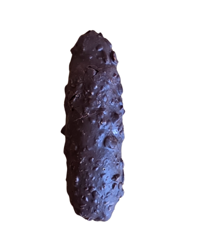 Barra de ferrero Nutribocado