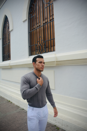 POLO M/L GRIS