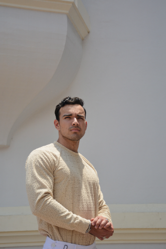 POLO M/L BEIGE FLOCK