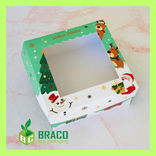 Caja Bisagra c/ Visor 20x20x10 COD 128