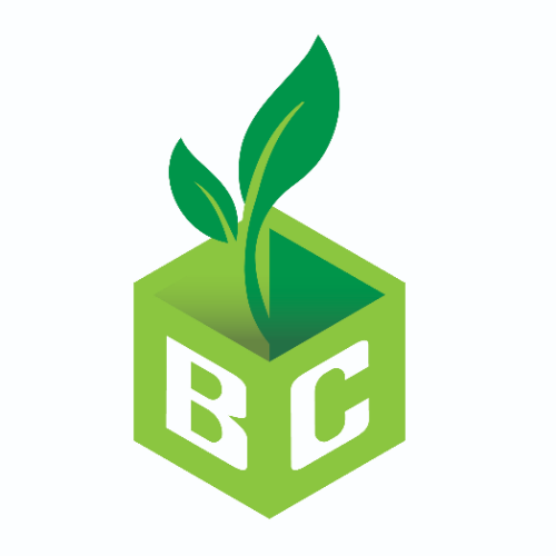 BraCo Eco Packaging / Cajas Pastelería