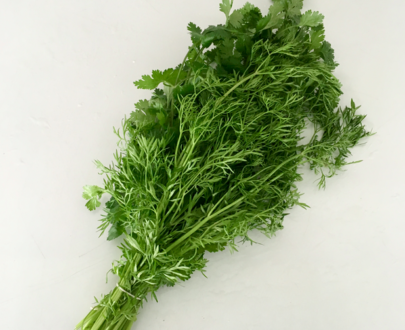 Cilantro, culantro, hierbita, yerbita atado