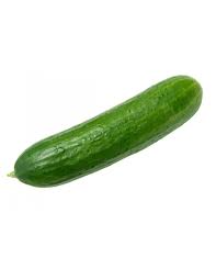 Pepino por unidad
