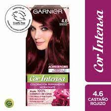 TINTE GARNIER 4.6