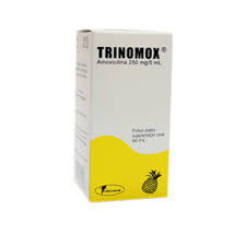TRINOMOX POLVO PARA SUS. 60ML