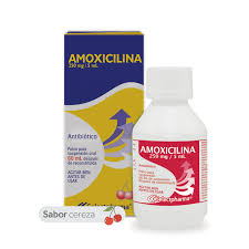 AMOXICILINA SELECTHPHARMA