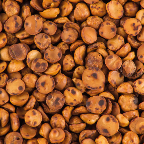 Avellana Chilena 30grs