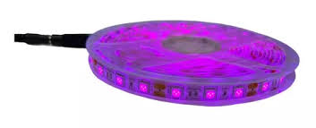 CINTA LED 12V 5MTS VIOLETA FELGOLUX