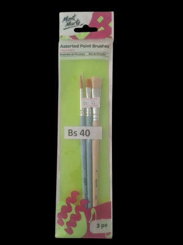 Assorted Paint Brushes