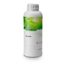 BORO FOLIAR