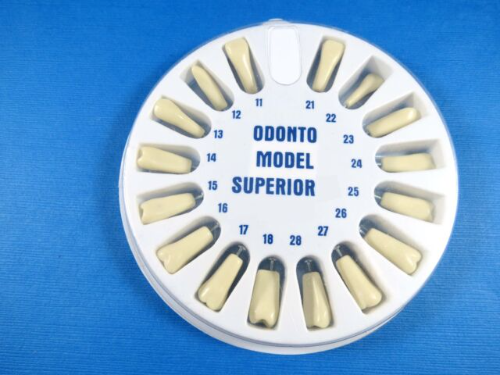 Dientes para Tipodonto Odonto Model OM 560, juego de 32 unds