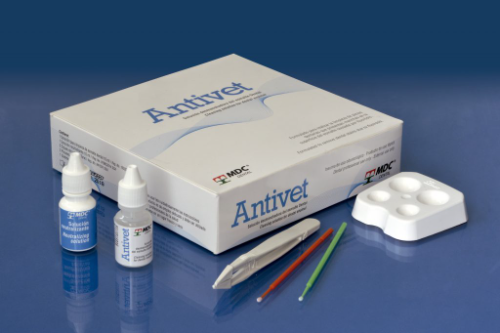 Kit de limpieza del esmalte Antivet, MDC Dental