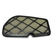 Filtro de aire DS125